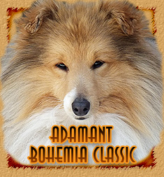 Персональная страница Adamant Bohemia Classic