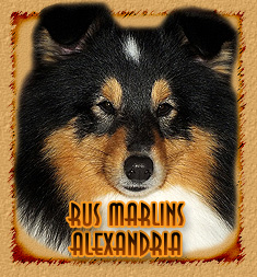 Rus Marlins  Alexandria