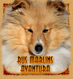 personal page  Rus Marlins Avantura