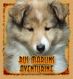 Rus Marlins Aventurine