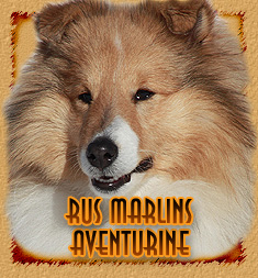 personal page Rus Marlins Aventurine