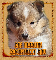 Rus Marlins Backstreet Boy