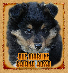 Rus Marlins Briana Rossa