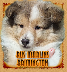 Rus Marlins Brimington