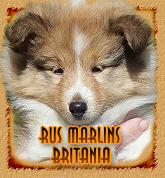 Rus Marlins Britania