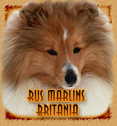 personal page Rus Marlins Britania