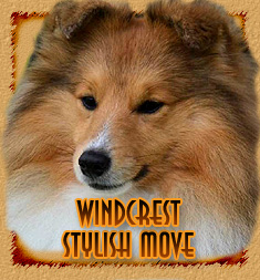 Windcrest Stylish Move