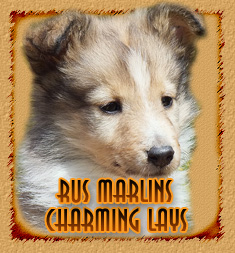 Rus Marlins Charming Lays