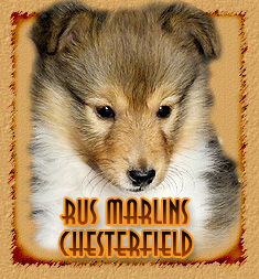 Rus Marlins Chesterfield