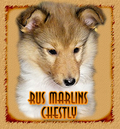 Rus Marlins Chestly