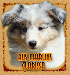 Rus Marlins Clarissa