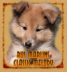 personal page Rus Marlins Classic Melody