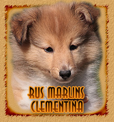 Rus Marlins Clementina