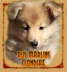 Rus Marlins Clondike