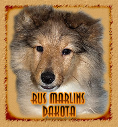 Rus Marlins Dakota