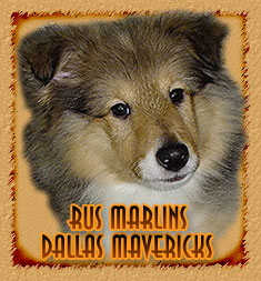 Rus Marlins Dallas Mavericks