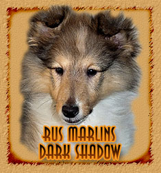 Rus Marlins Dark Shadow