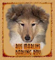 Rus Marlins Darling Boy