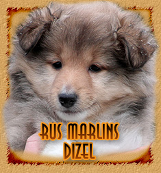 Rus Marlins Dizel
