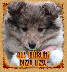 Rus Marlins Dizzy Lizzy