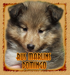 Rus Marlins Domingo