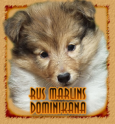 Rus Marlins Dominikana