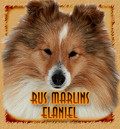 personal page Rus Marlins Elaniel