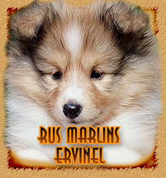Rus Marlins Ervinel