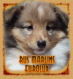 Rus Marlins Eurolux
