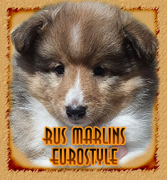 Rus Marlins Eurostyle