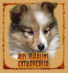 Rus Marlins Extraversia