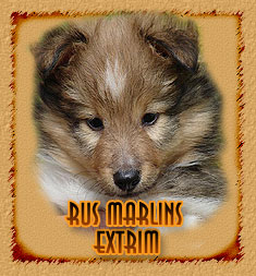 Rus Marlins Extrim