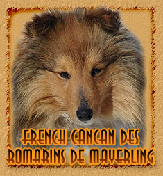 Персональная страница French Cancan Des Romarins De Mayerling