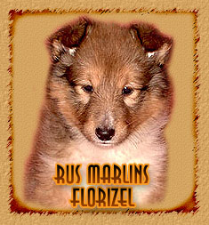 Rus Marlins Florizel
