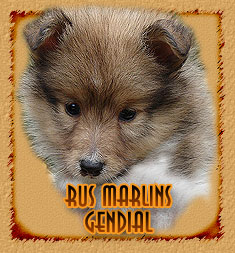 Rus Marlins  Gendial
