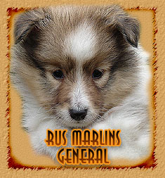 Rus Marlins  General