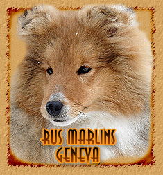 Rus Marlins  Geneva