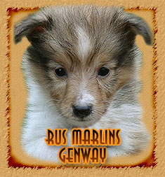 Rus Marlins  Genway