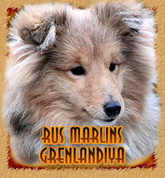 Rus Marlins Grenlandiya