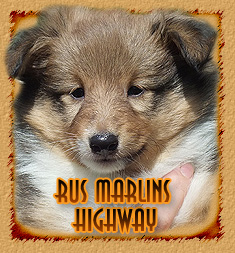 Rus Marlins Highway