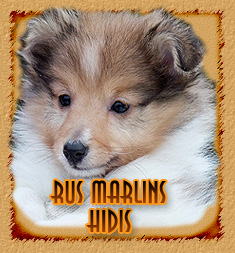 Rus Marlins Hidis