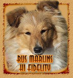 Rus Marlins Hi Fidelity