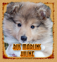 Rus Marlins Hiline