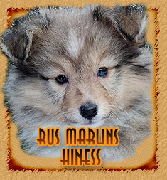 Rus Marlins Hiness