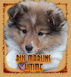 Rus Marlins Hitime