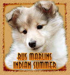 Rus Marlins Indian Summer