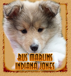 Rus Marlins Indiana Jones