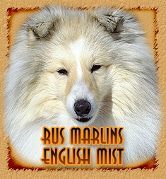 Rus Marlins English Mist