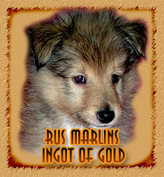 Rus Marlins Ingot of Gold