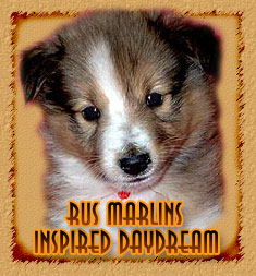 Rus Marlins Inspirid Daydream